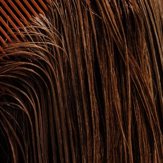 Brunette Refresh Package 🤎 at ILF Hair Co in Terre Haute, IN