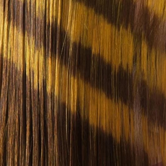 Dimensional Color Package 🖤 at ILF Hair Co in Terre Haute, IN